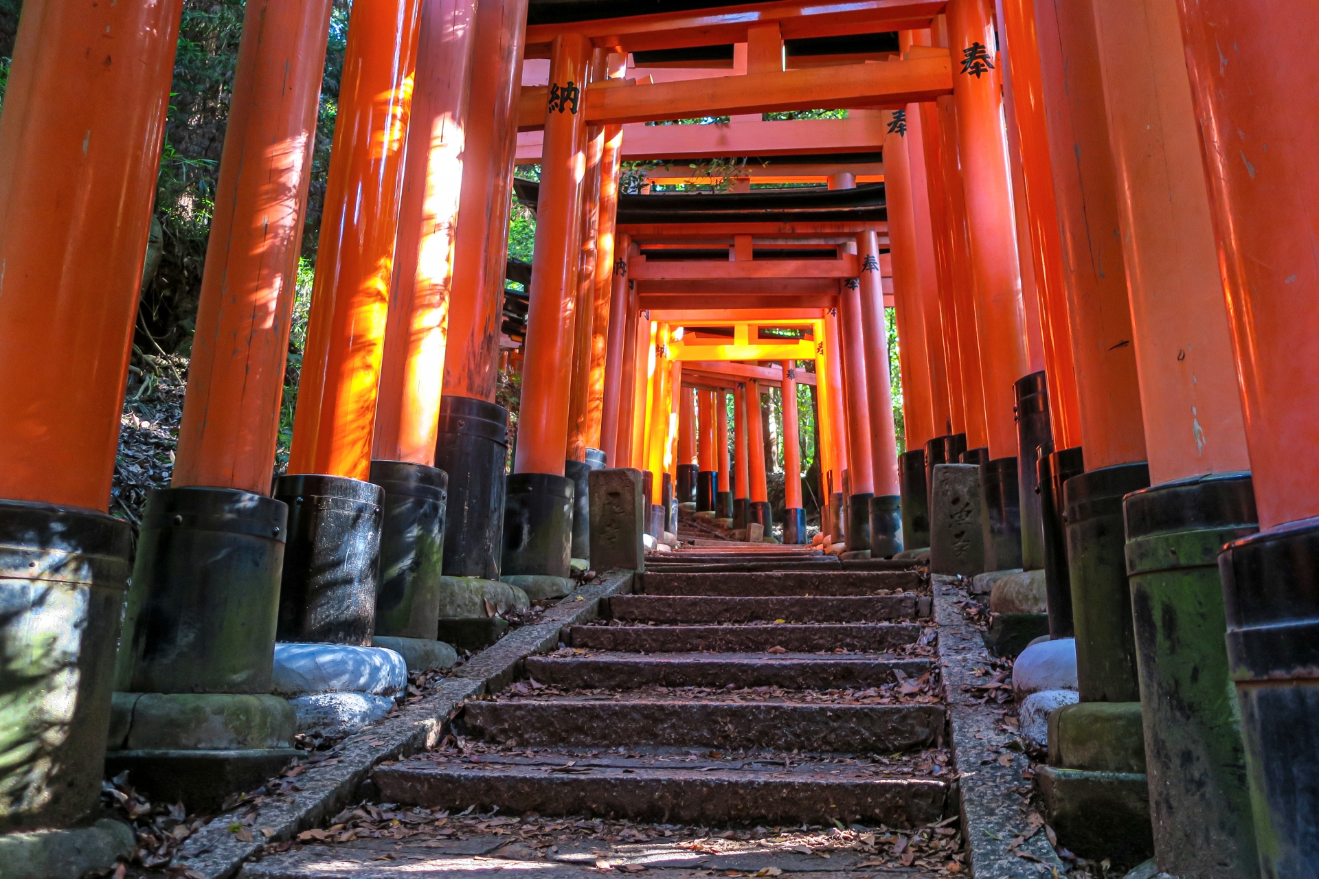 Fushimi Inari Taisha: Kyoto's Must-Visit Shrine with 10,000 Vermillion Gates