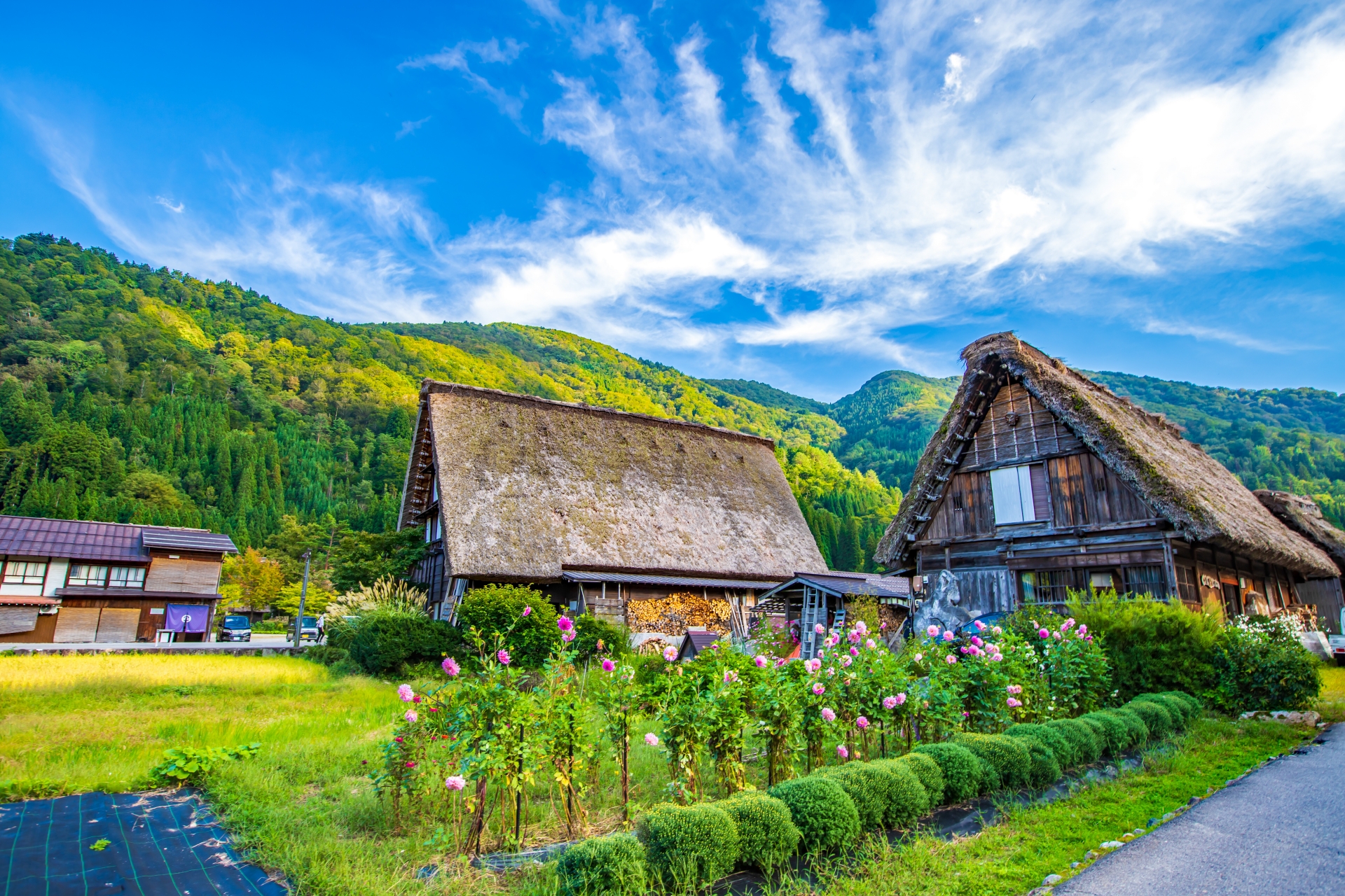 Shirakawa-go: A UNESCO World Heritage Village Where Time Stands Still in Japan's Mountain Heart