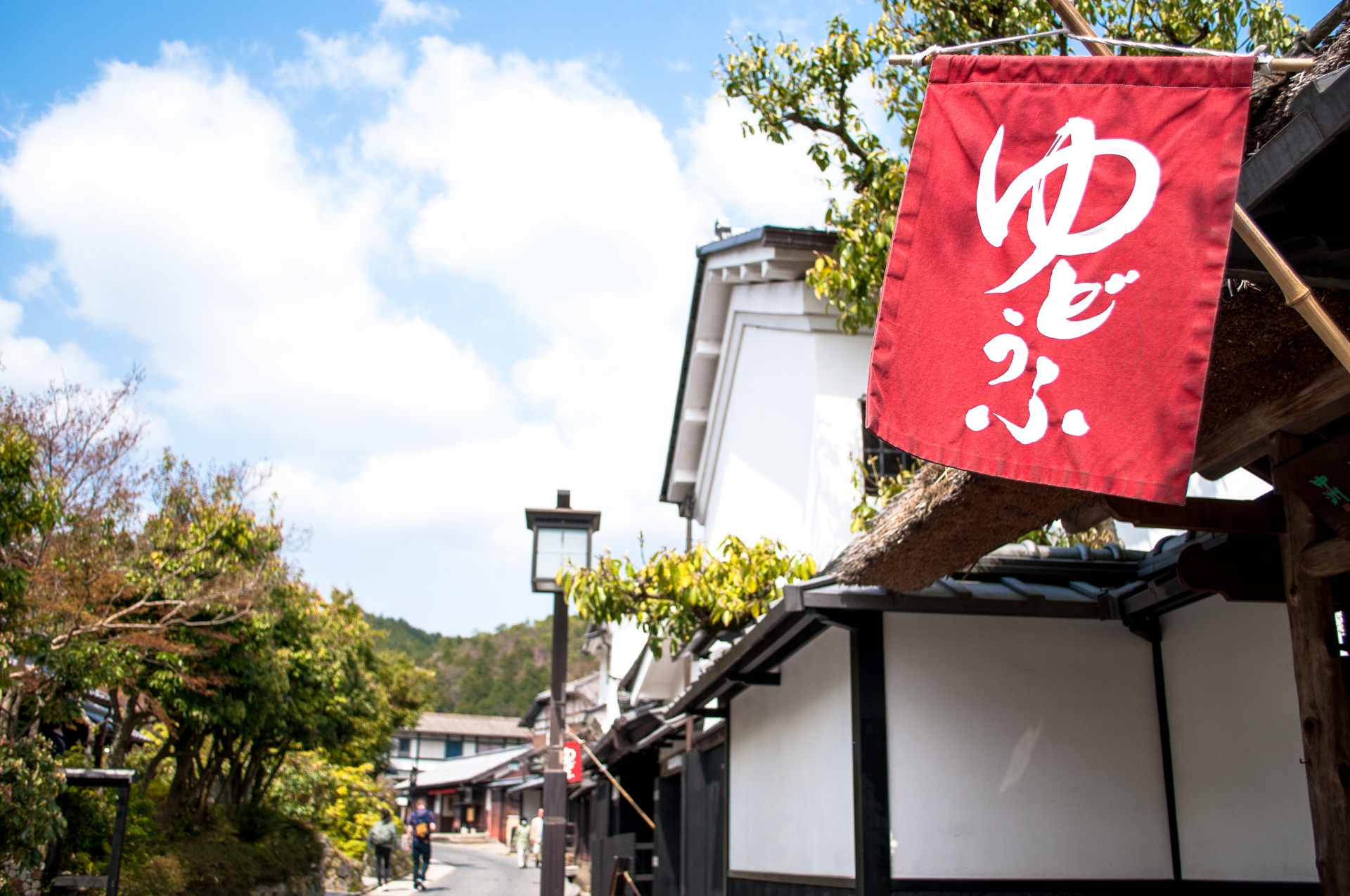 Yudofu Sagano: Experience Authentic Kyoto with Silky Tofu & Garden Views in Arashiyama
