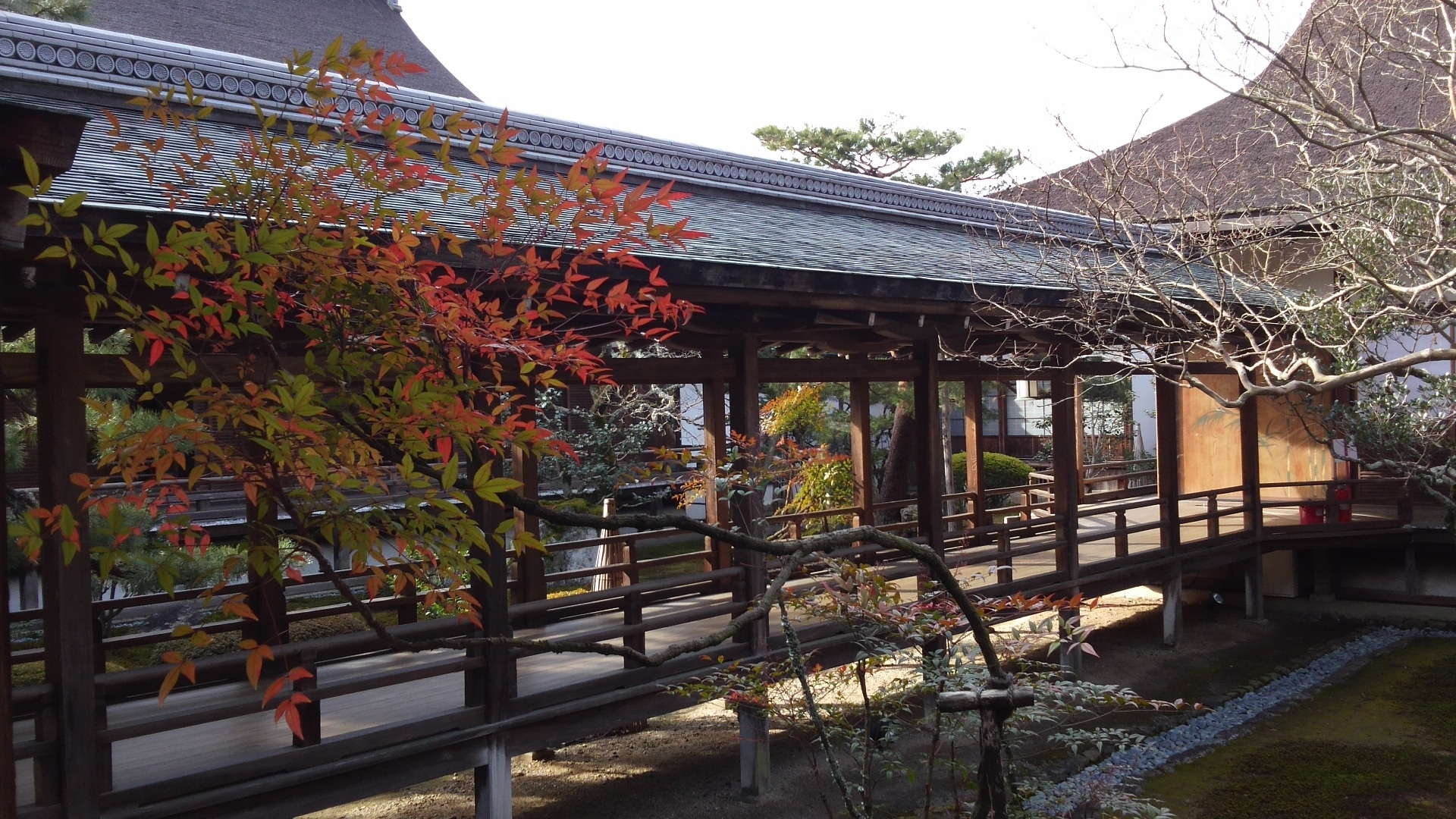 Daikaku-ji Temple: A Hidden Imperial Retreat Where Silence & History Meet