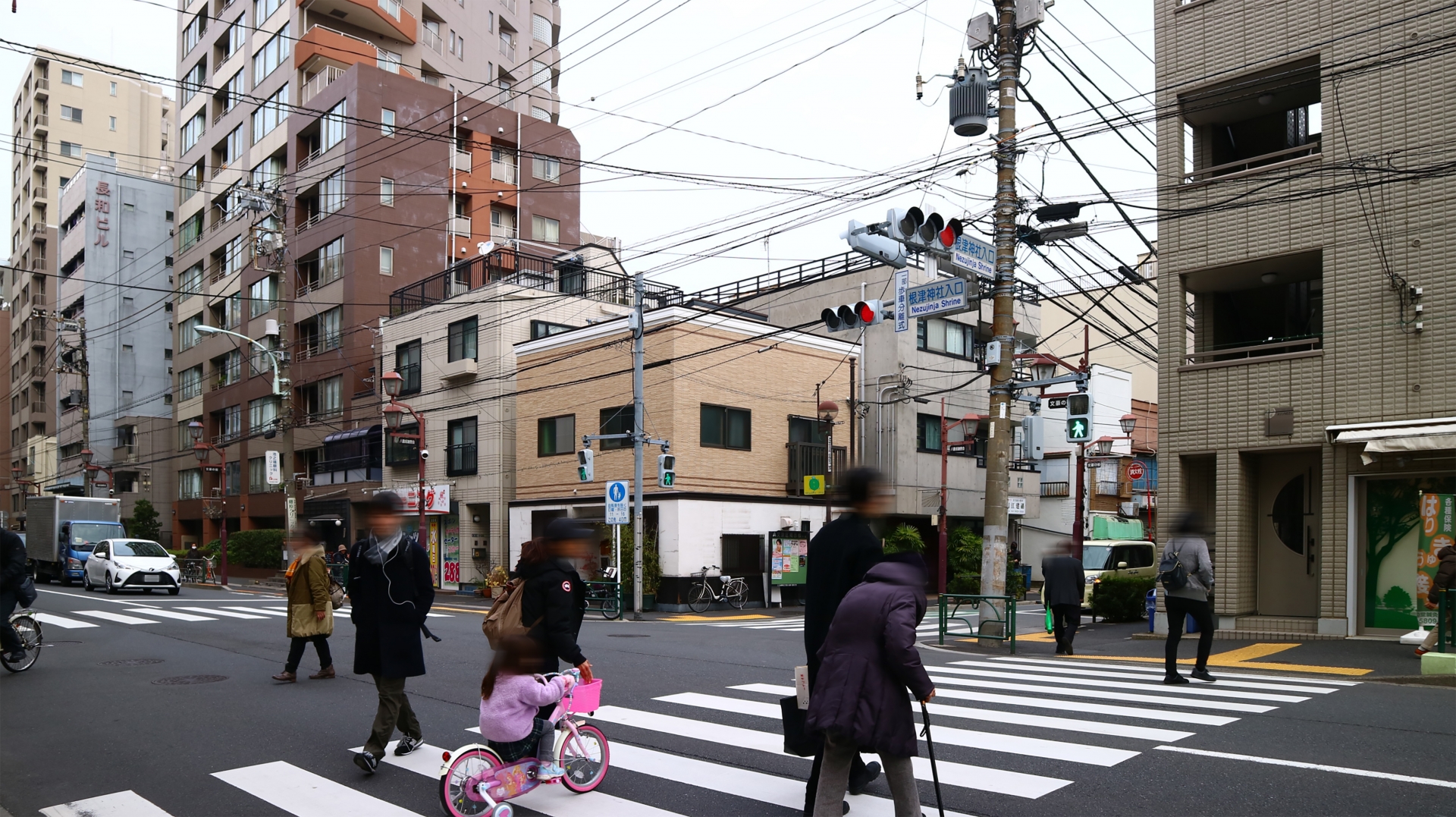 Nezu Shrine: Tokyo's Hidden Sanctuary with Breathtaking Senbon Torii Tunnel