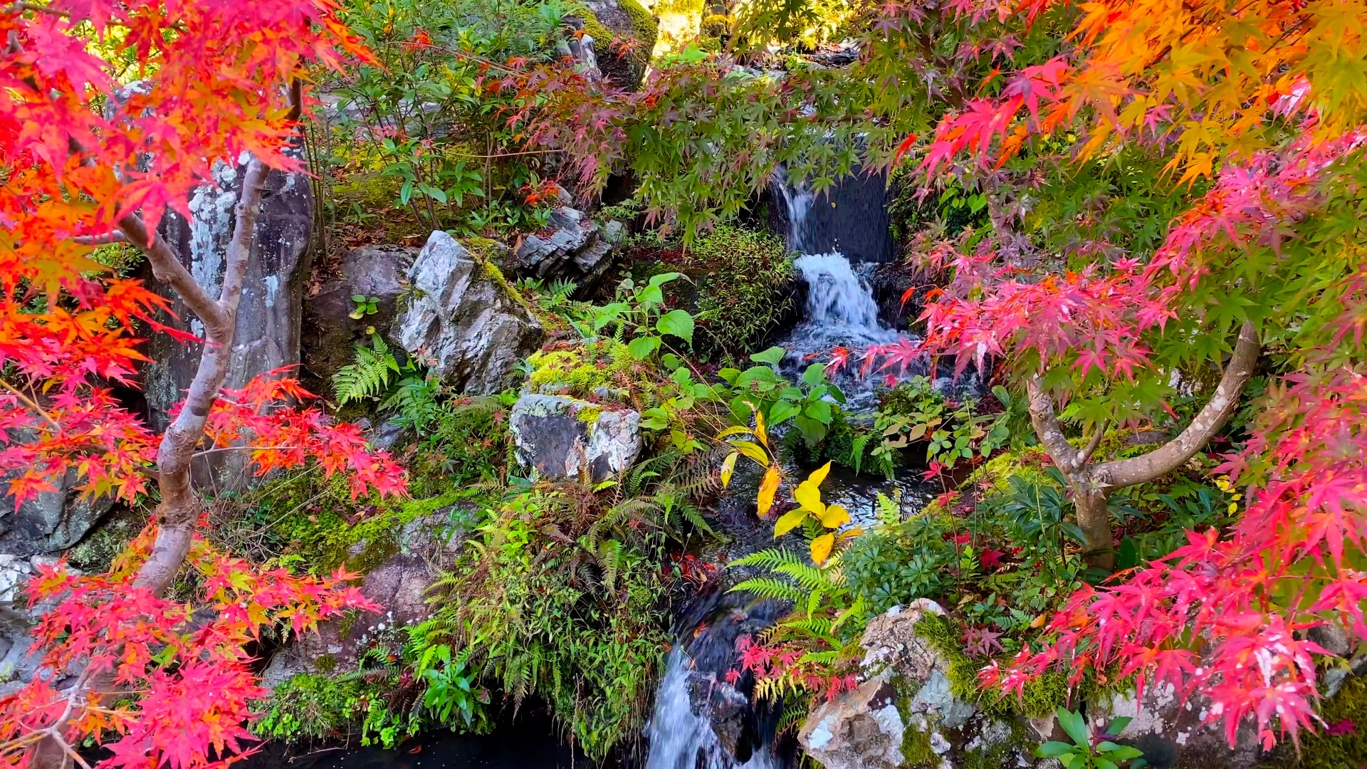 Isuien Garden: A Hidden Oasis of Traditional Japanese Beauty Near Todaiji Temple