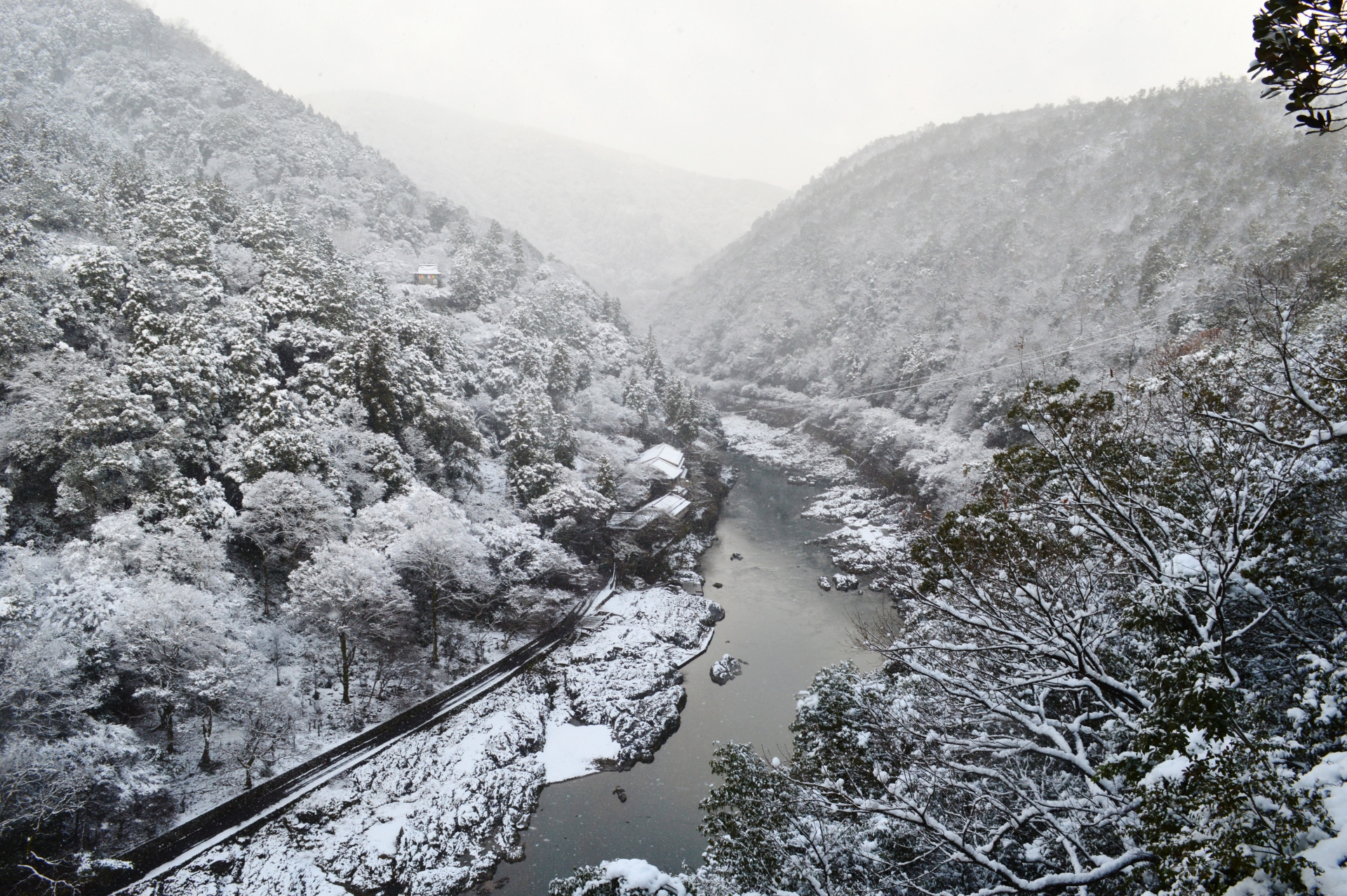 Hoshinoya Kyoto: A River-Access-Only Luxury Retreat in Arashiyama's Hidden Valley