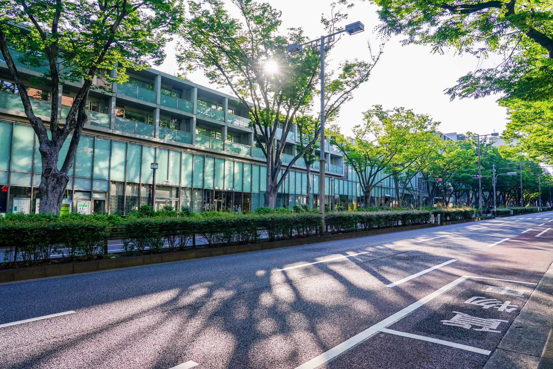 Omotesando Hills: A Must-Visit Architectural Marvel Blending History and Modern Luxury