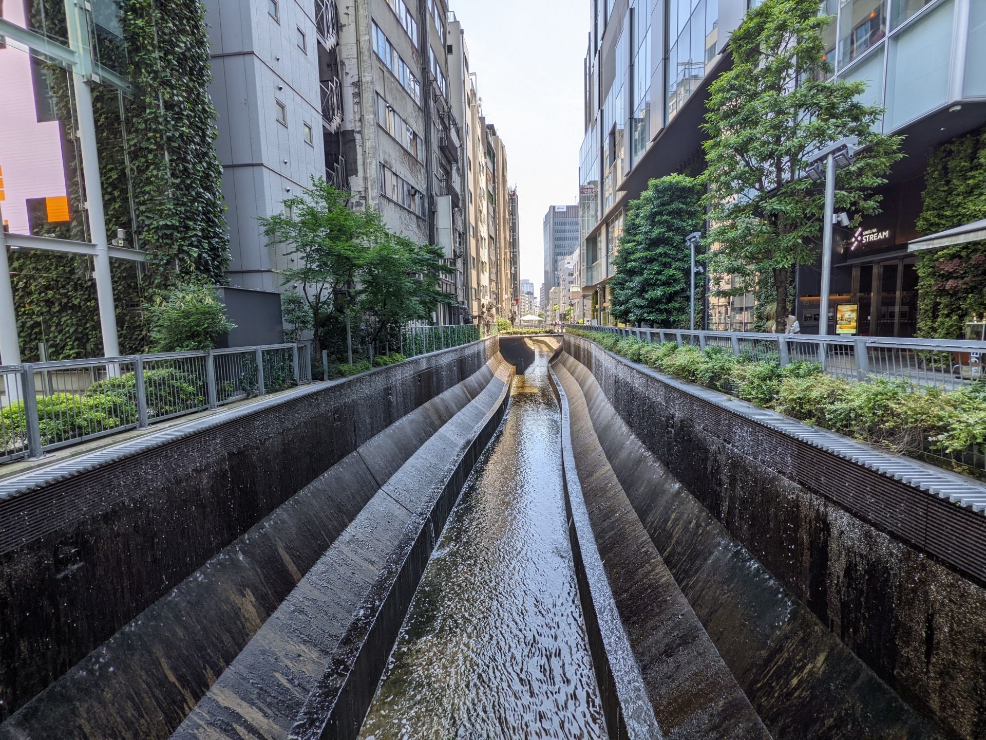 Old Shibuya River Walking Path: A Hidden Urban Oasis in the Heart of Tokyo