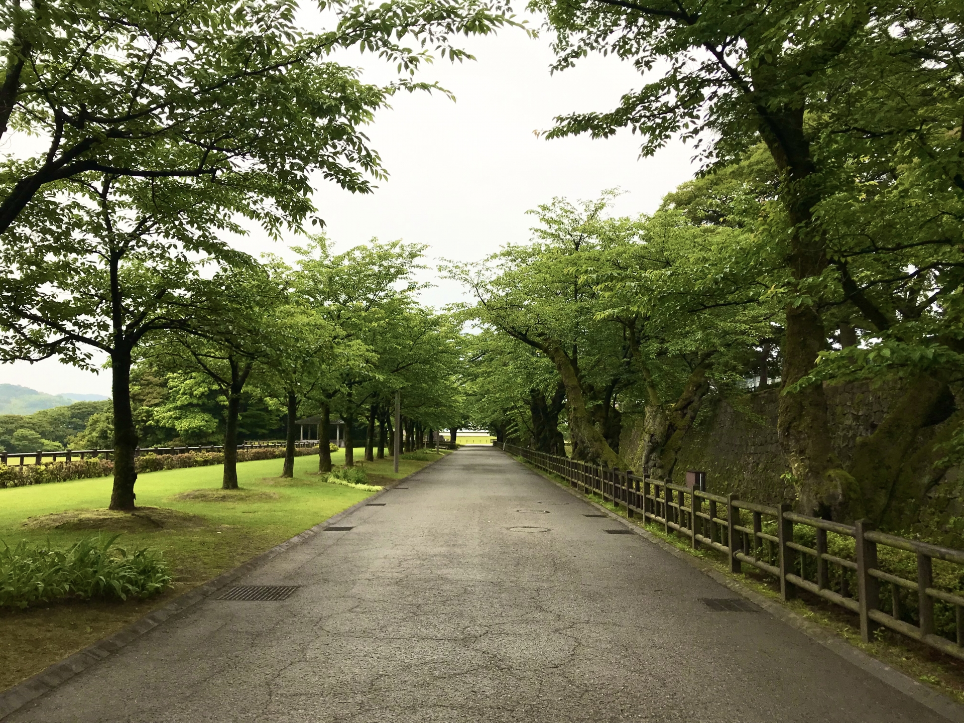 Philosopher's Path Kanazawa: A Hidden Zen Walking Trail Where Famous Thinkers Once Wandered