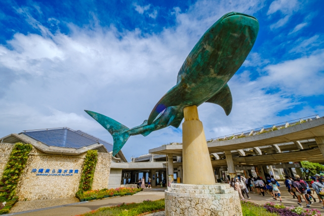 Okinawa Churaumi Aquarium: Japan's Must-Visit Marine Paradise with Whale Sharks & Manta Rays