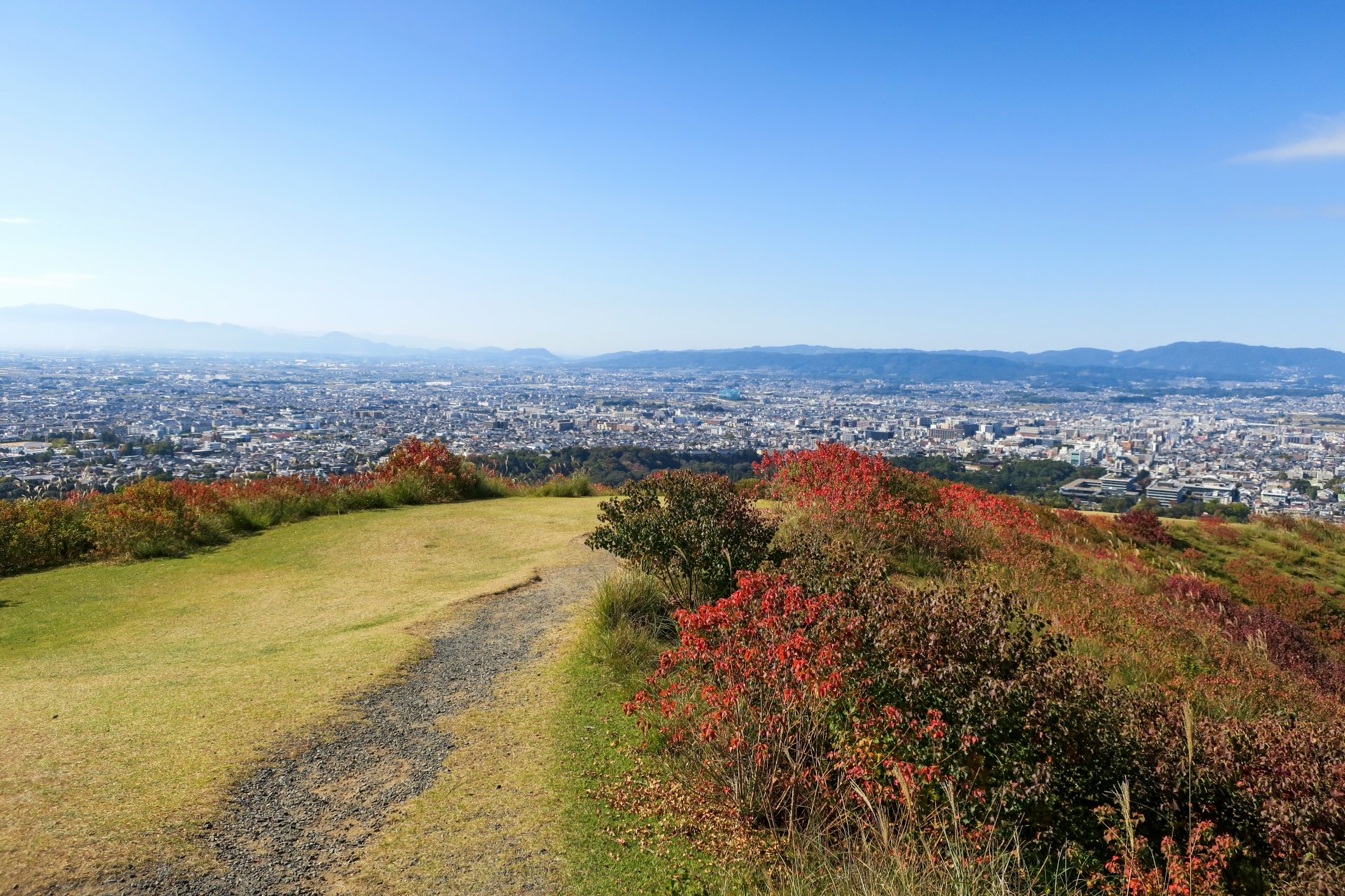 Mount Wakakusa: Nara's Secret Hillside Where Deer Roam Free and Epic Fire Festivals Light Up the Sky
