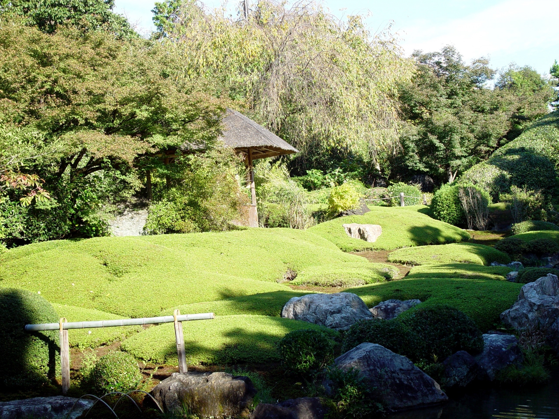 Taizoin Temple: Kyoto's Hidden Zen Garden Gem with Stunning Weeping Cherry Blossoms