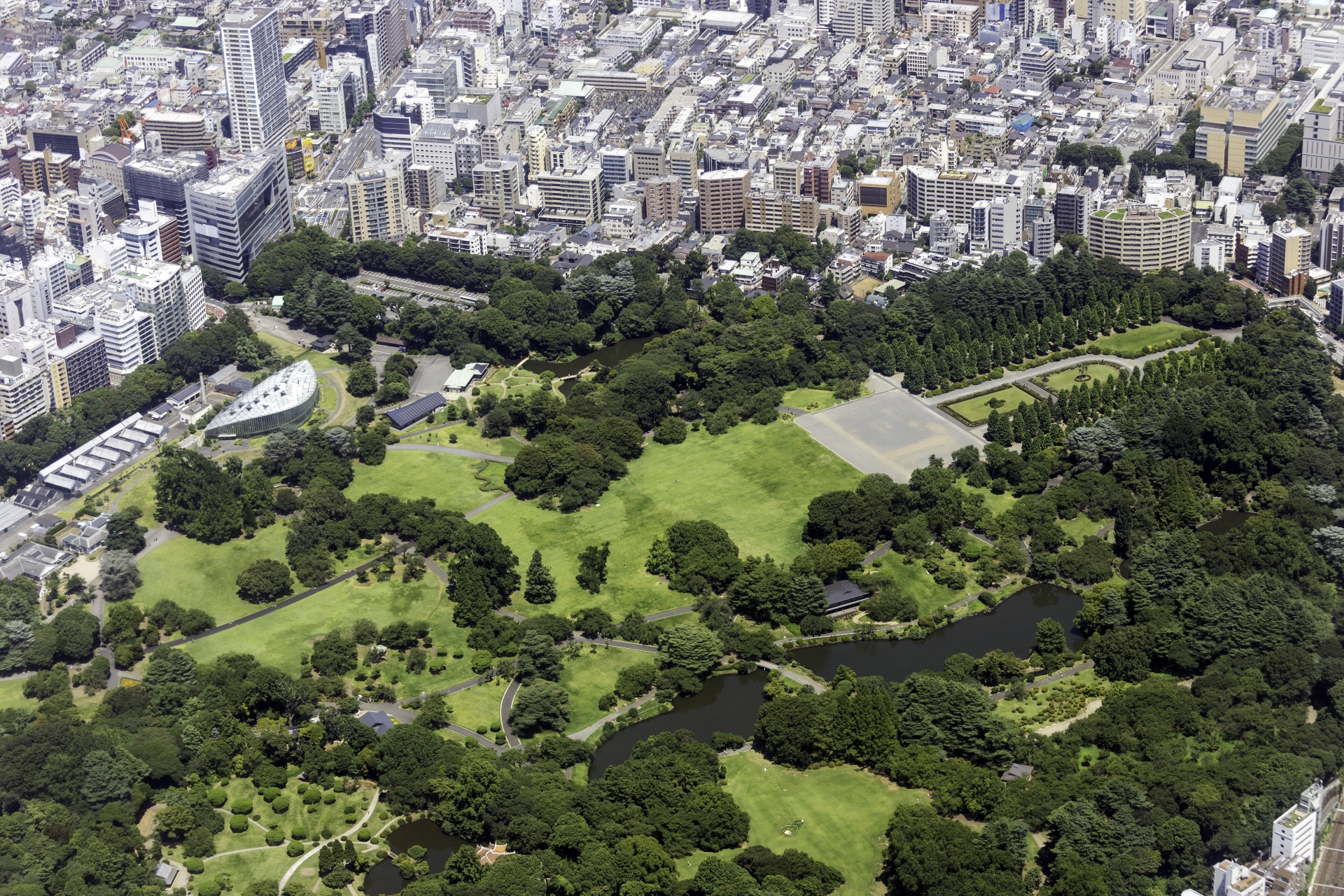 Shinjuku Gyoen: Tokyo's Must-Visit Urban Oasis Where Nature Meets Serenity