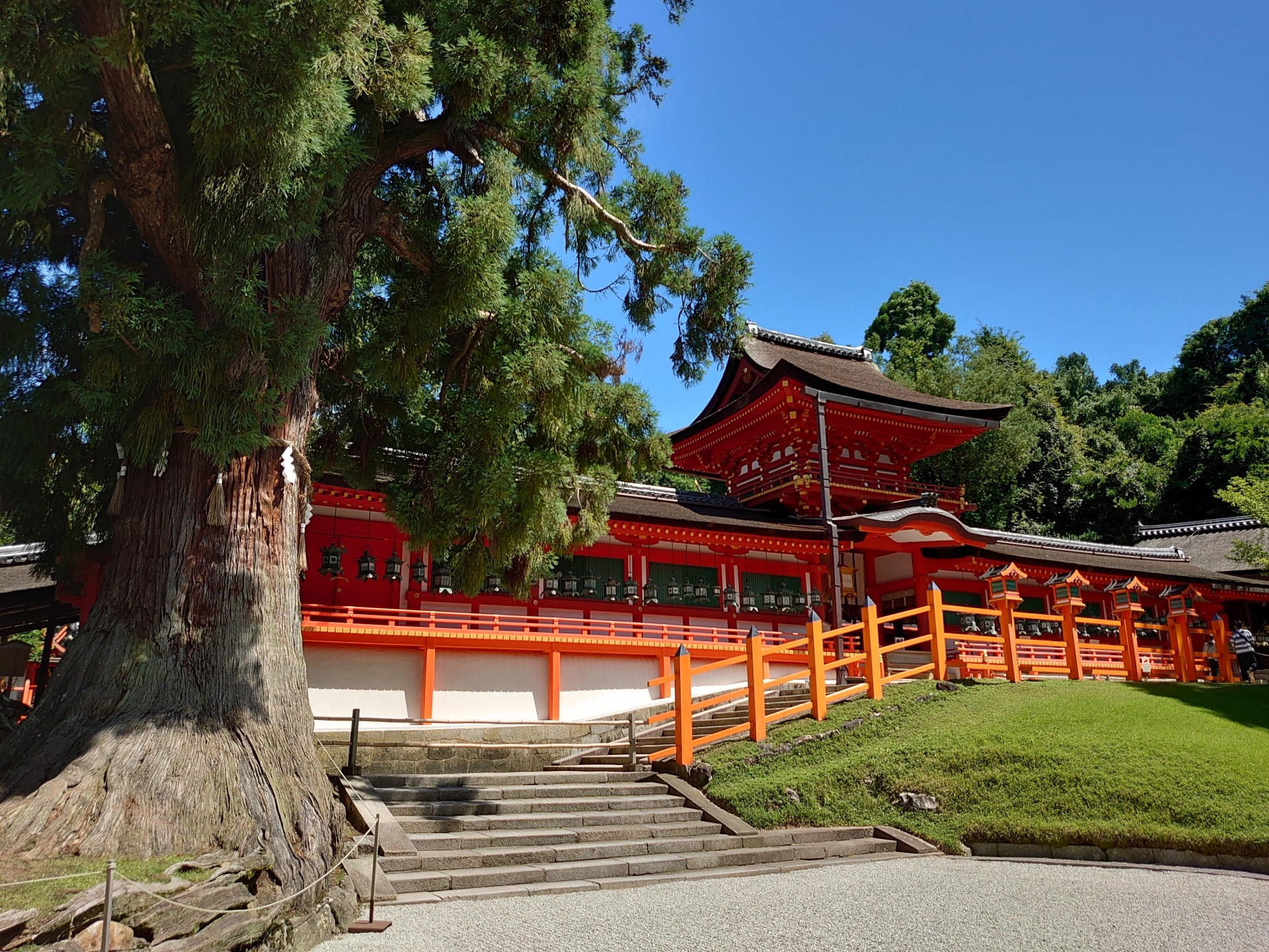 Kasuga Taisha: Ancient Shrine of 3,000 Lanterns & Sacred Deer in Nara's Forest
