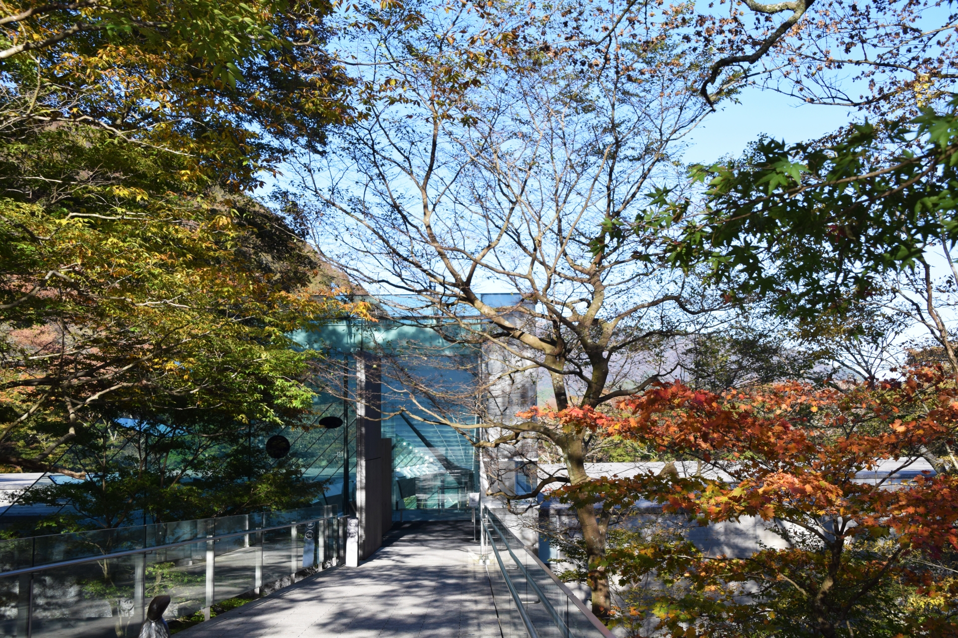 Pola Museum of Art: A Stunning Impressionist Collection Hidden in Hakone's Forest