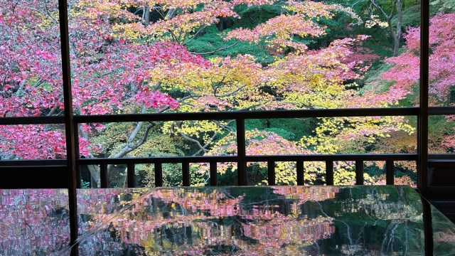 ROKU KYOTO: A Hidden Forest Retreat Where Nature Meets Luxury in Northern Kyoto