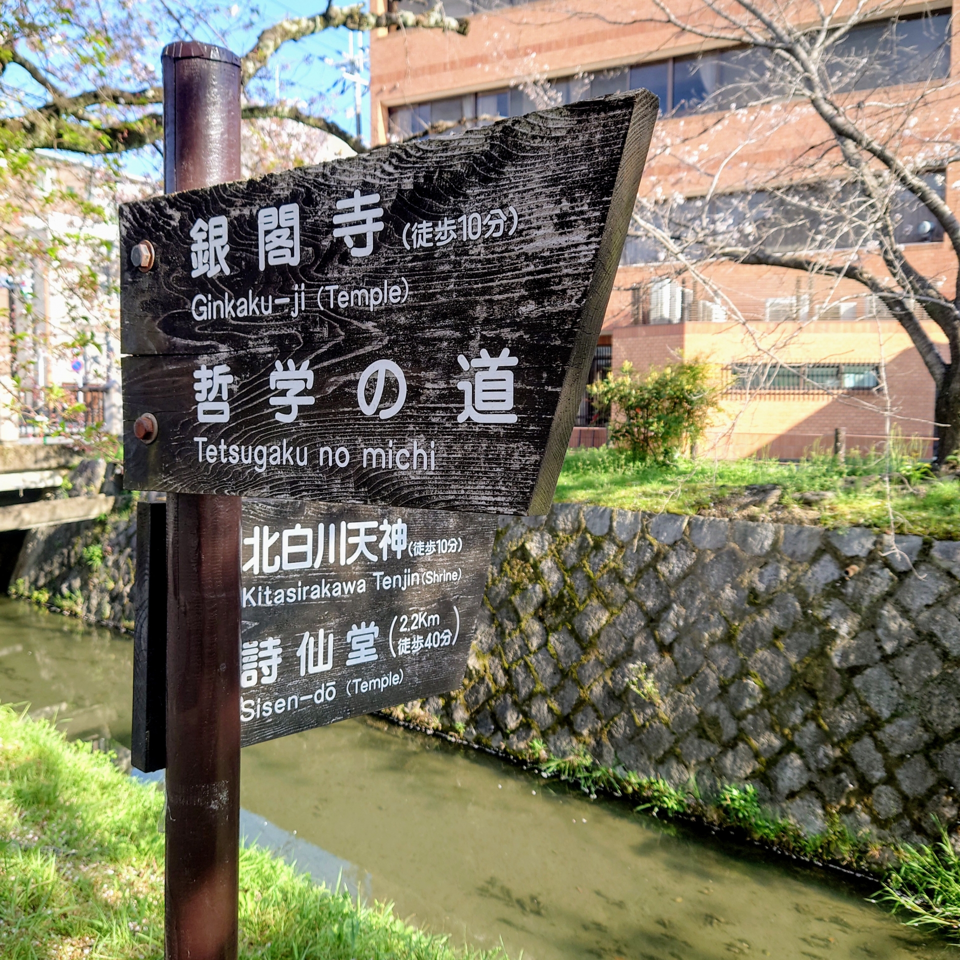 Ginkaku-ji (Silver Pavilion): Kyoto's Must-Visit Zen Temple of Wabi-Sabi Beauty