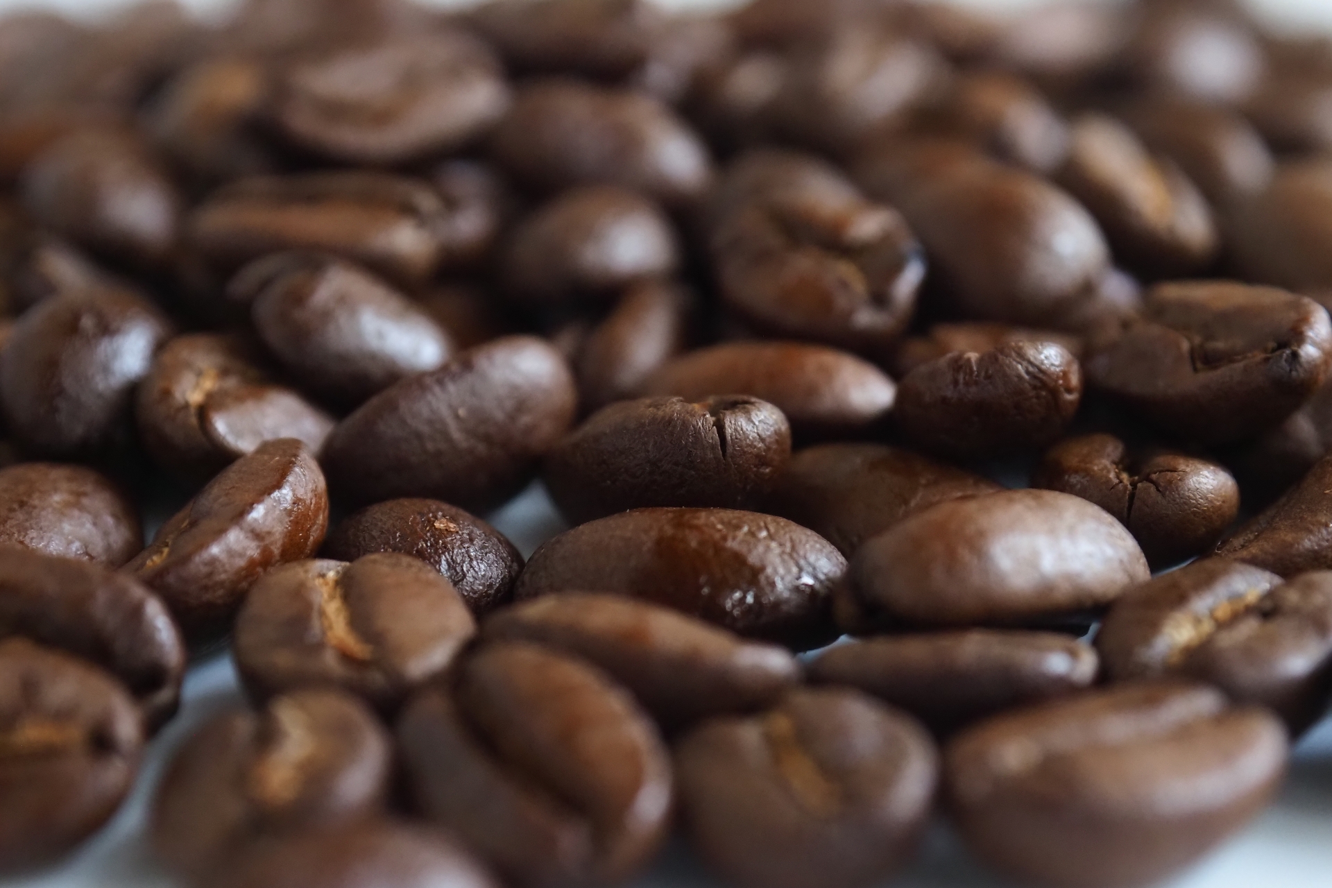 Kraft Coffee: Hidden Specialty Coffee Gem in Tokyo's Third Wave Coffee Mecca