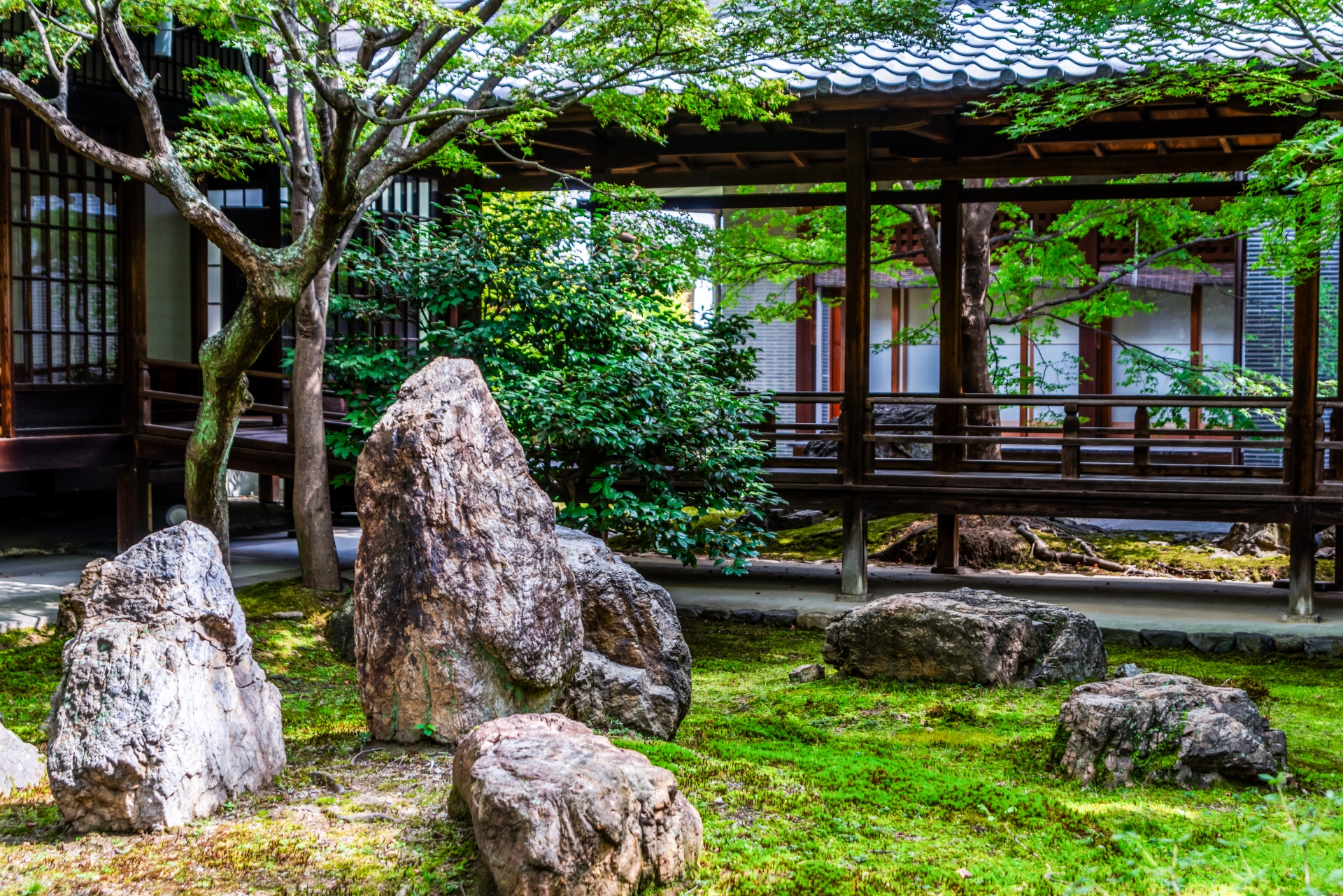 Kenninji Temple: Kyoto's Oldest Zen Temple Where Dragons Soar and Tradition Breathes