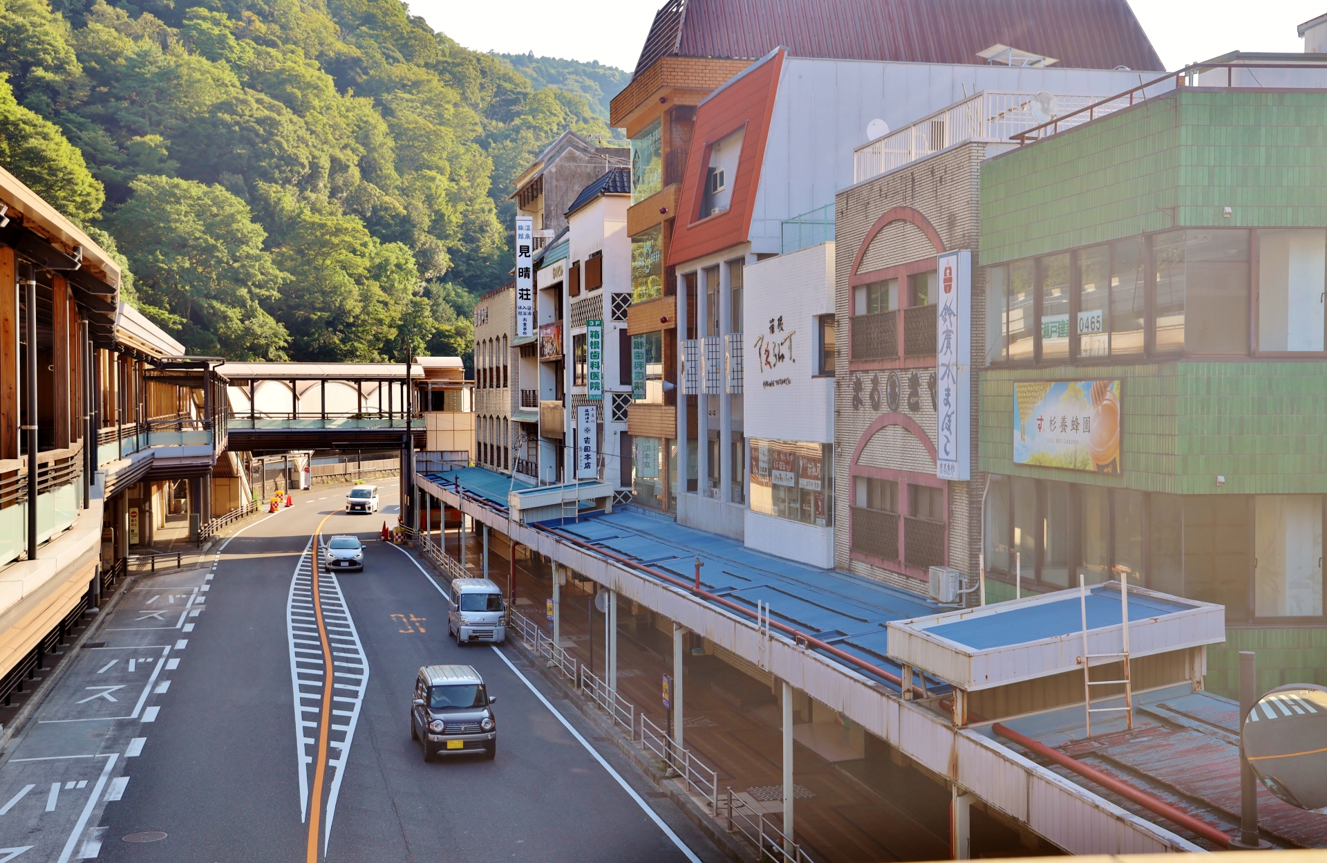 Hakone Yumoto Station Shopping Street: Your Gateway to Authentic Hot Spring Town Delights