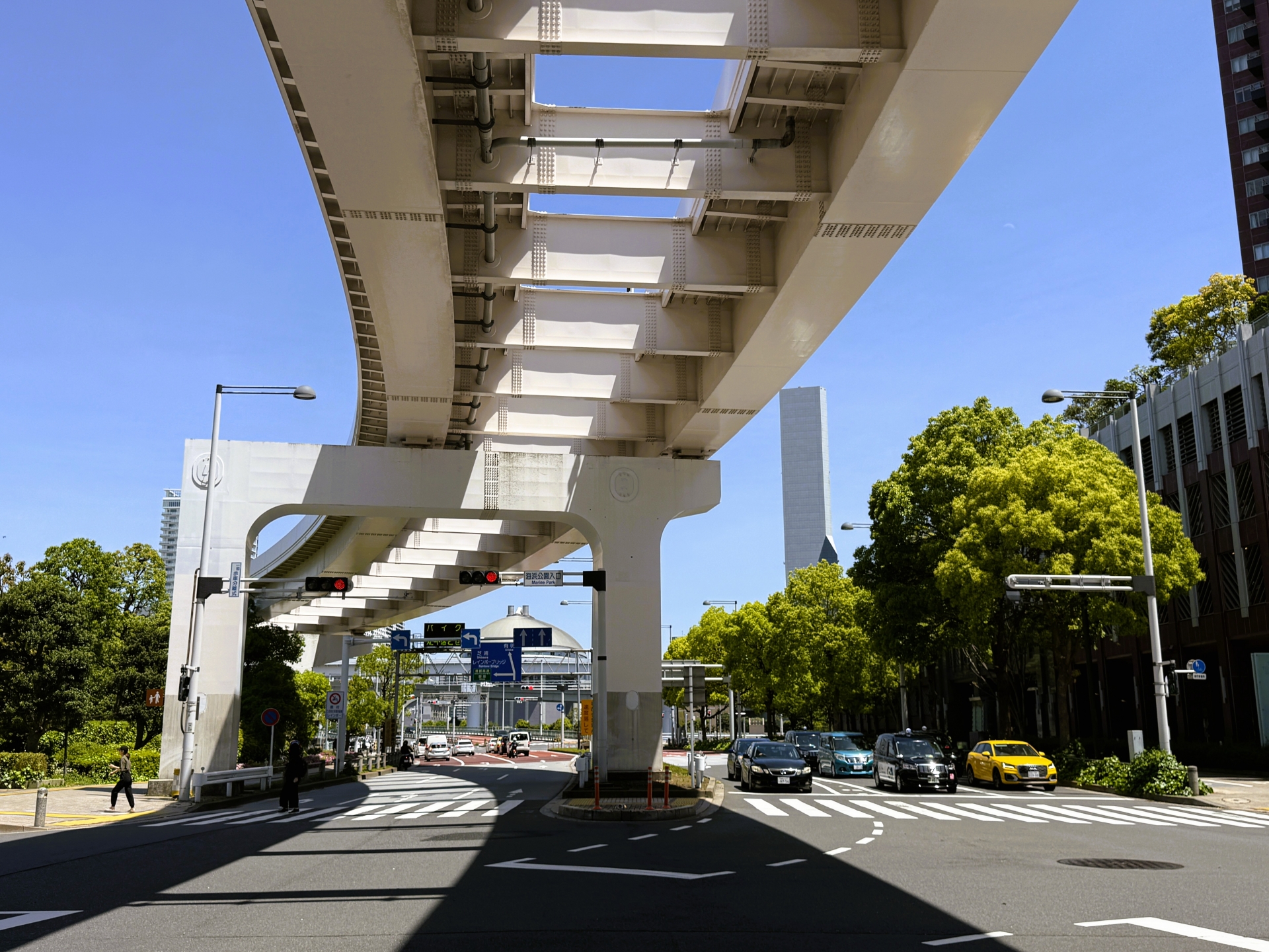 Toyosu Market: Tokyo's Must-Visit Seafood Paradise with Authentic Market Energy