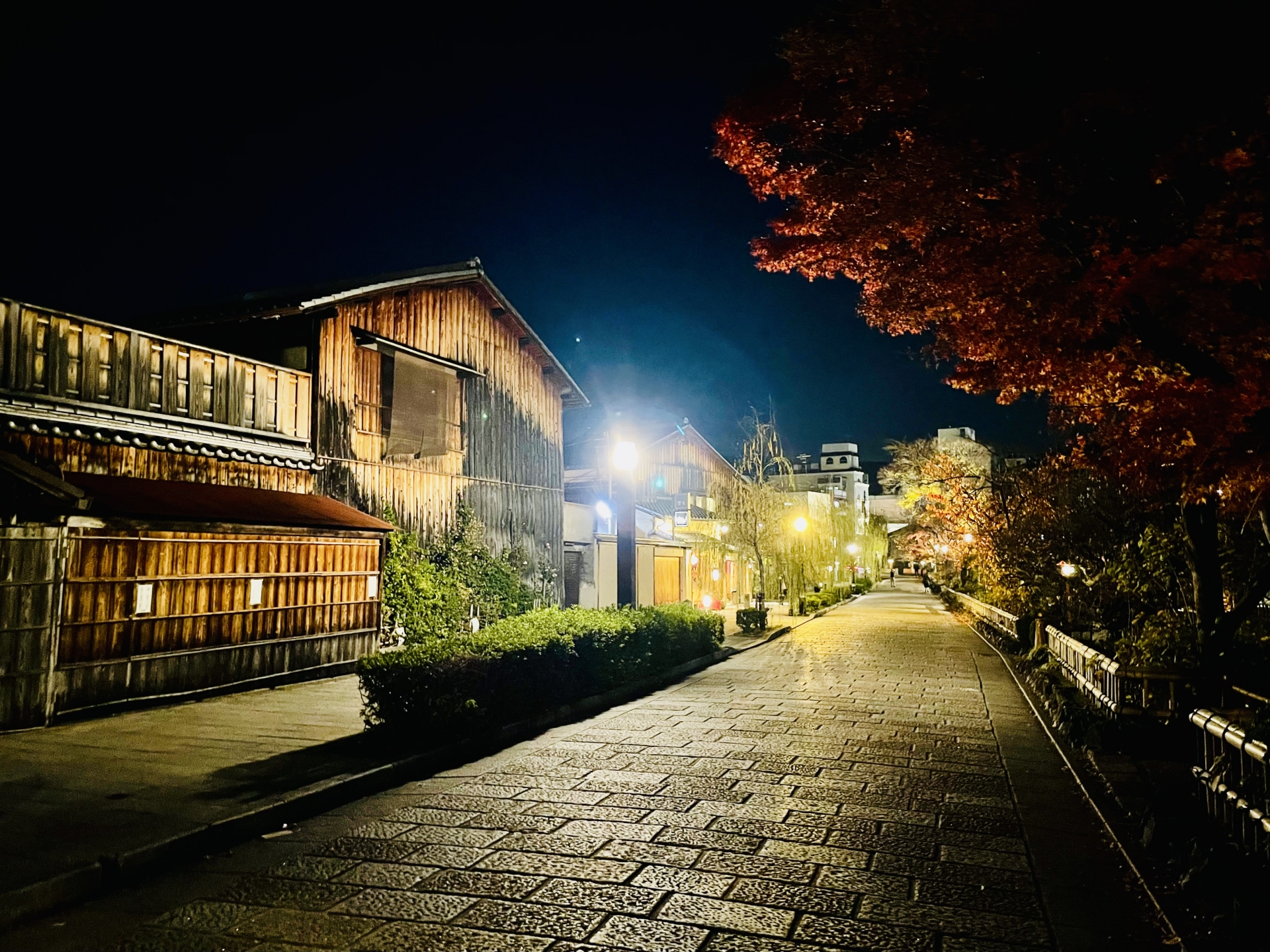 Gion Shirakawa: Kyoto's Most Romantic Cherry Blossom & Willow-Lined Canal Walk