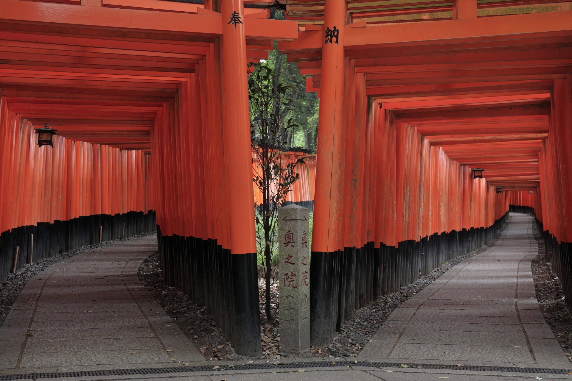 Senbon Torii: Walk Through Kyoto's Mystical Vermillion Tunnel at Fushimi Inari