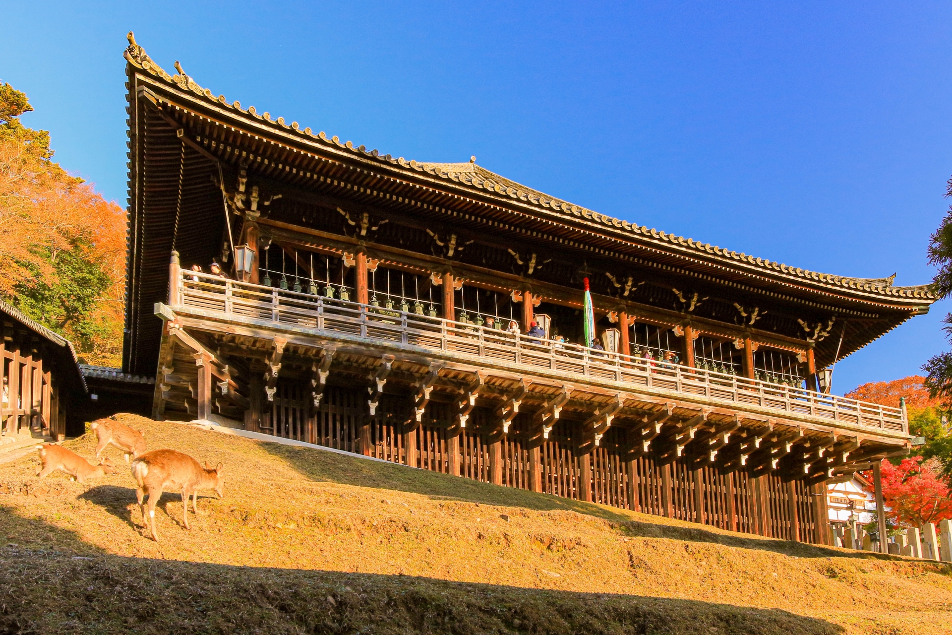 Todaiji Nigatsu-do: A Hidden Terrace Temple with Stunning Sunset Views Over Nara
