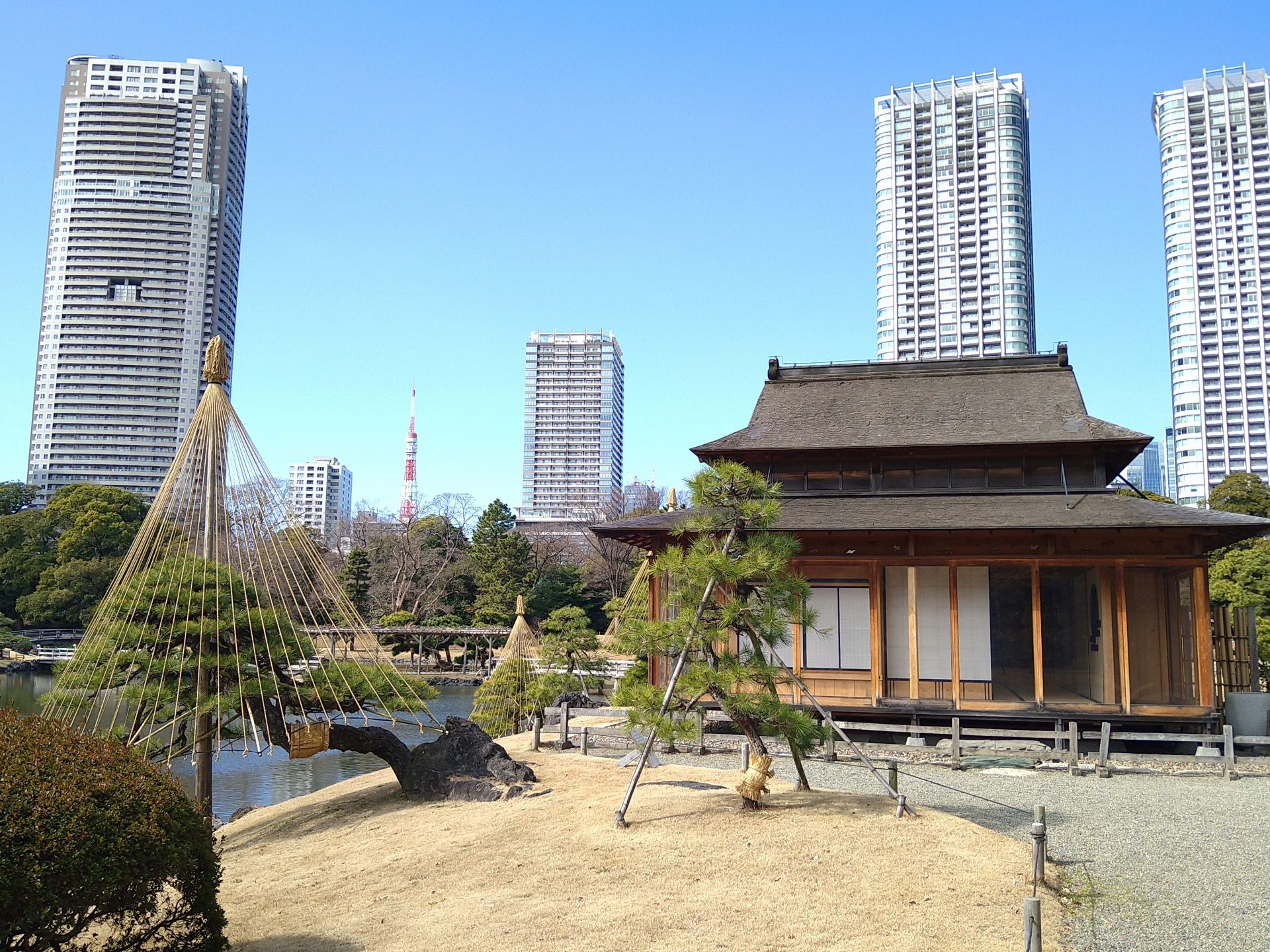 Hama-rikyu Gardens: Tokyo's Hidden Tidal Oasis Where Edo History Meets Modern Skyline