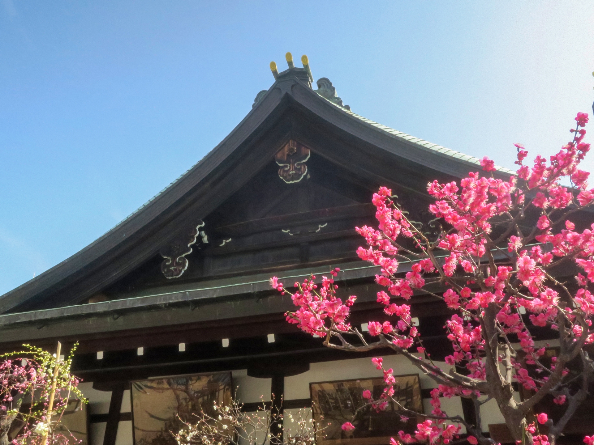 Osaka Tenmangu Shrine: The Sacred Heart of Japan's Most Spectacular Summer Festival