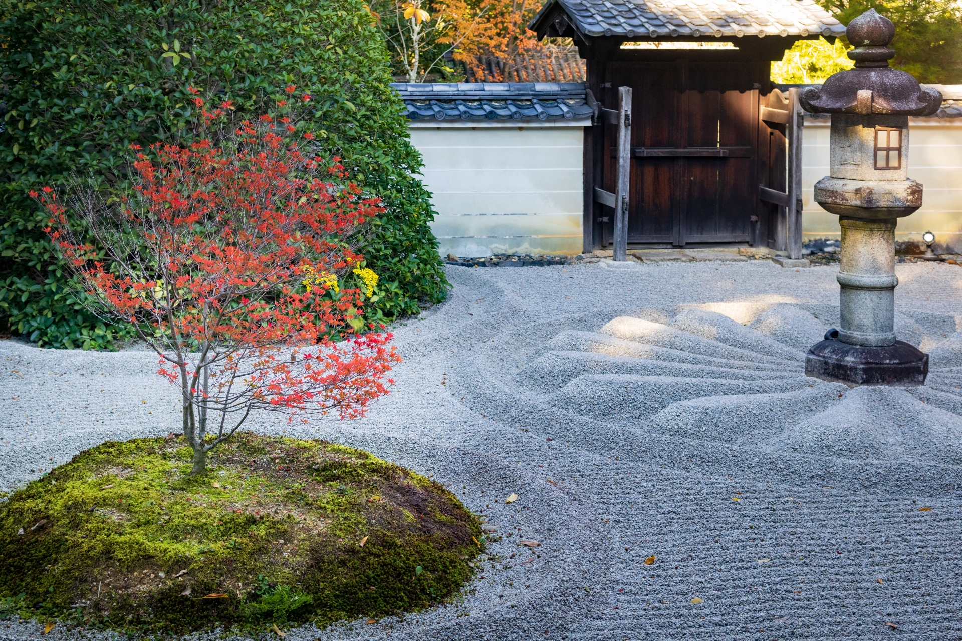 Sennyu-ji Temple: The Imperial Temple's Hidden Serenity & Beautiful Yang Guifei Kannon
