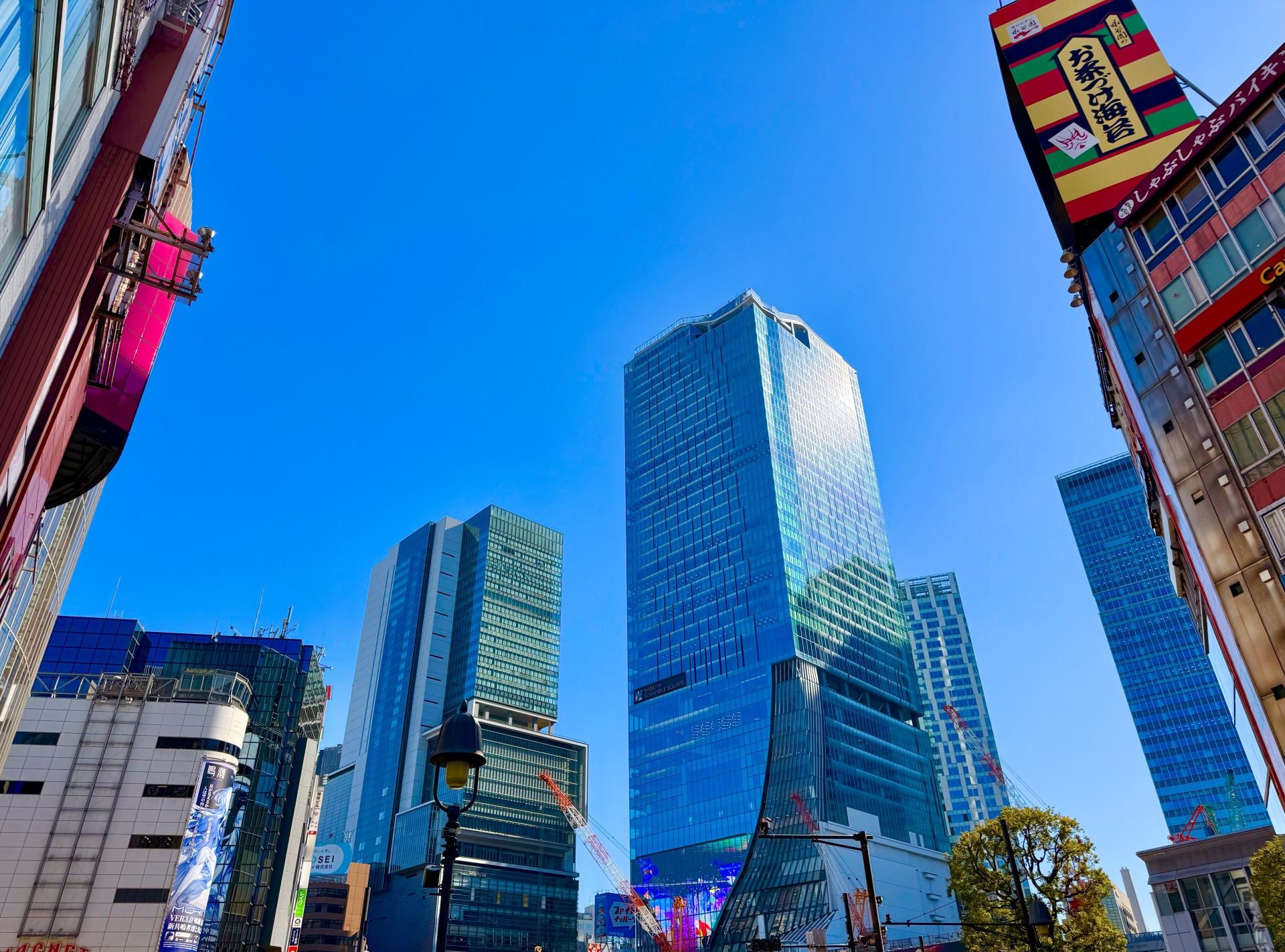 SHIBUYA SKY: Tokyo's Most Spectacular 360° Rooftop Observatory with Authentic Japanese Cityscapes