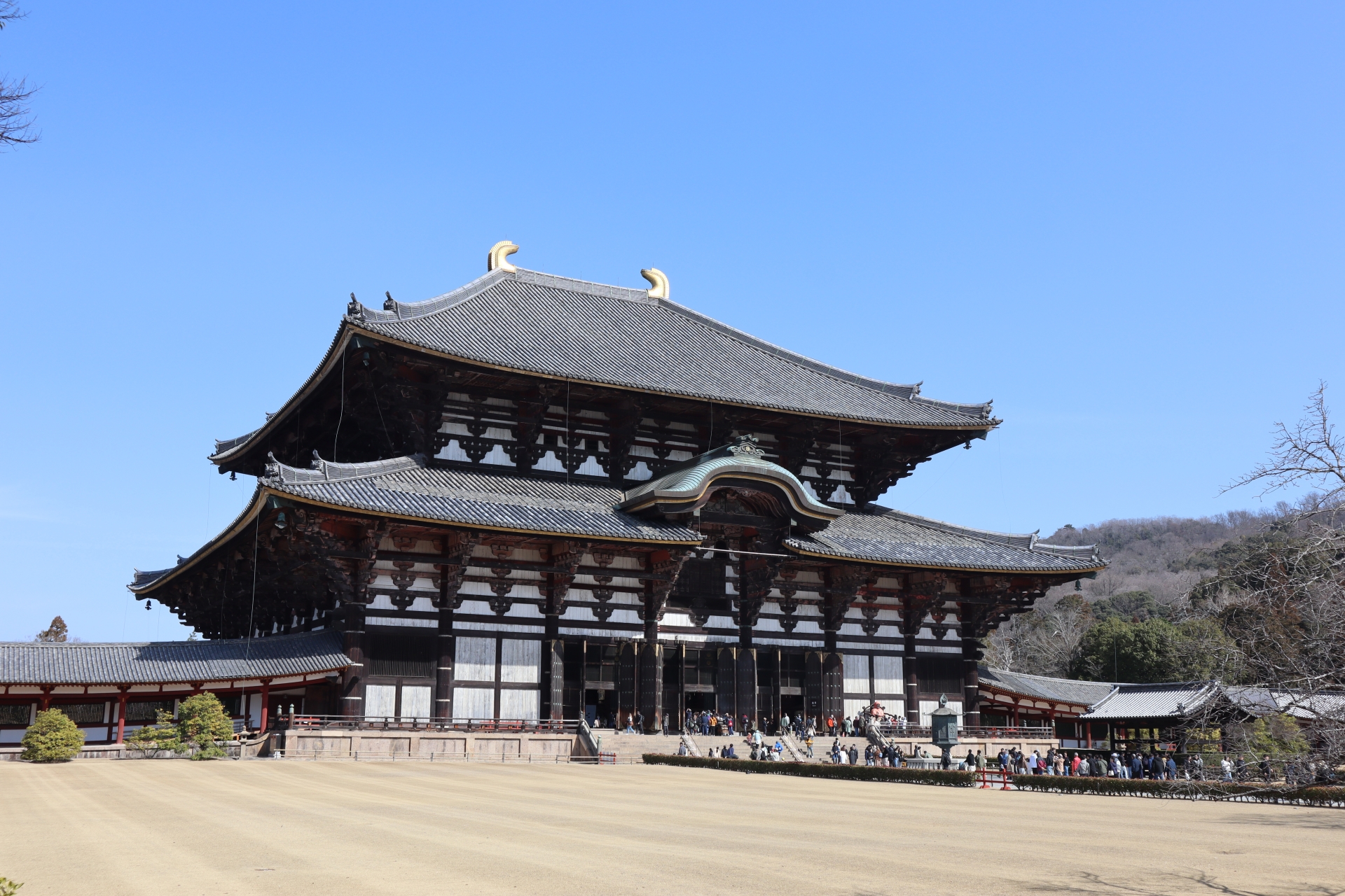 Todaiji Temple: Meet Japan's Most Iconic Giant Buddha in Nara's Must-Visit Wonder