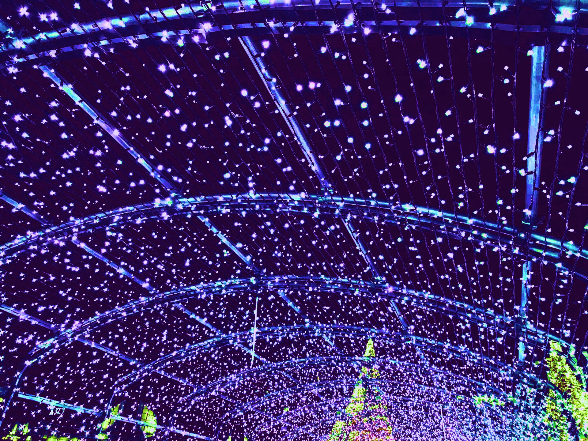 teamLab Borderless Azabudai: Tokyo's Must-Visit Immersive Digital Art Museum