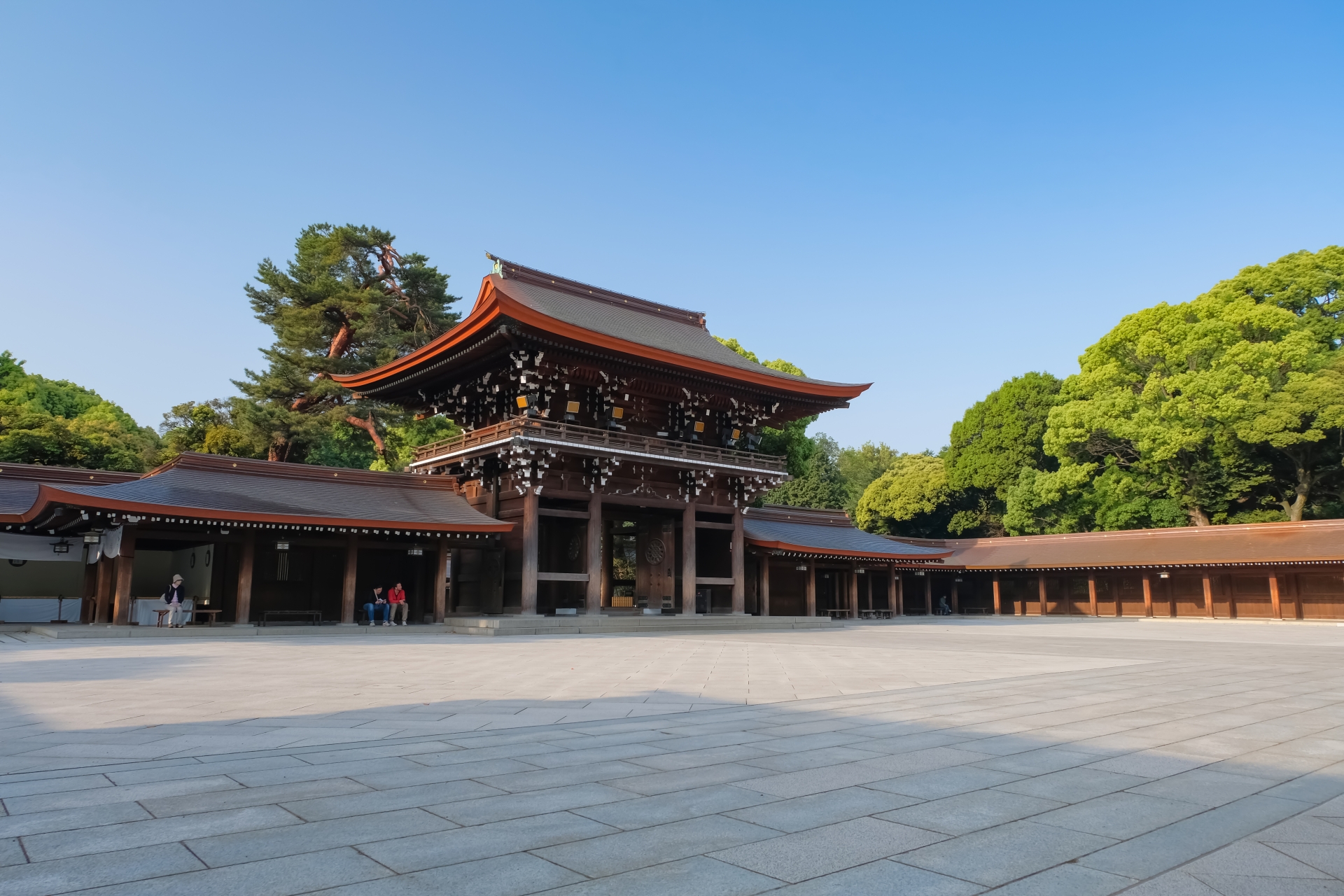 Meiji Jingu: Tokyo's Sacred Forest Sanctuary in the Heart of Harajuku