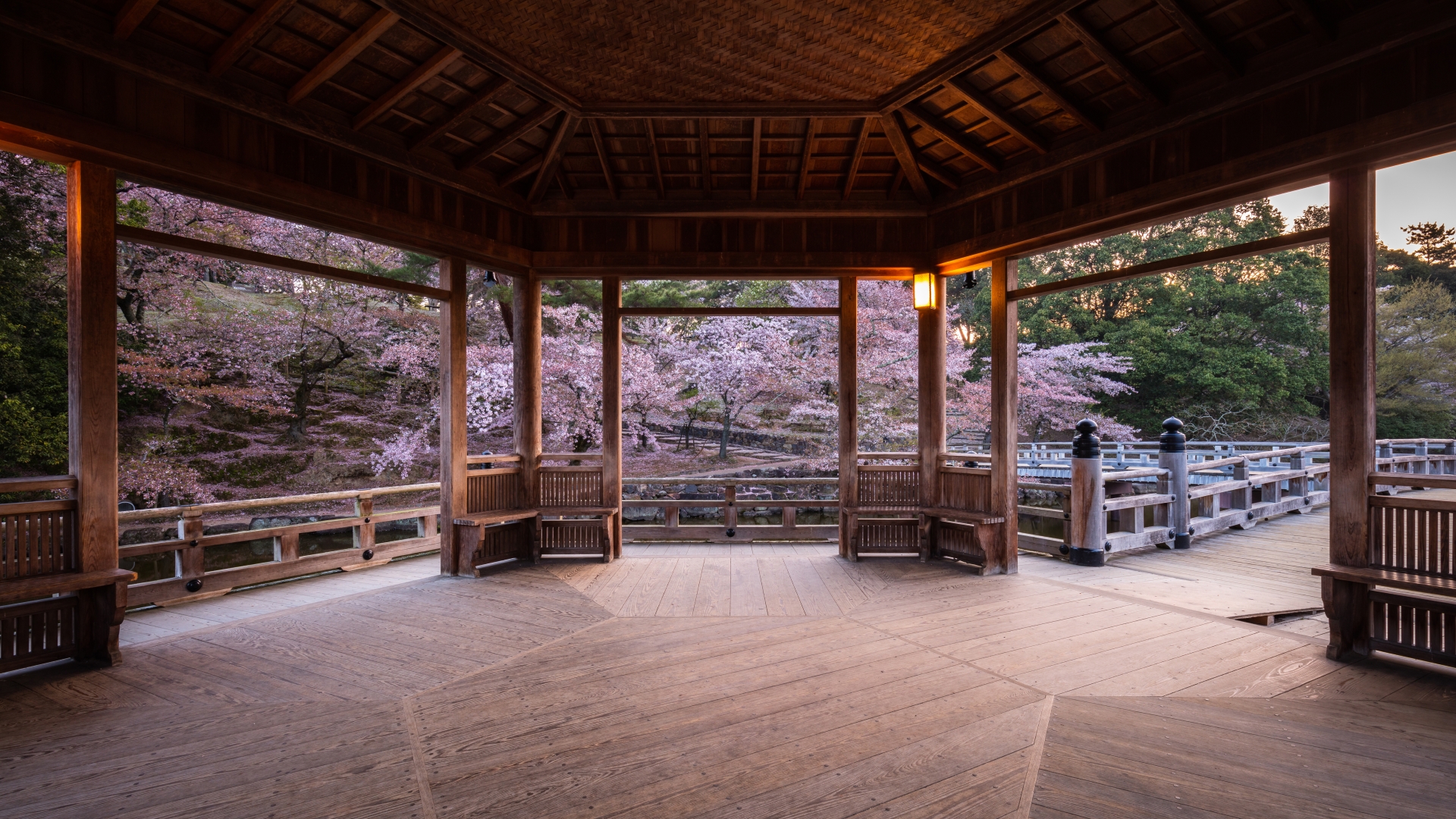 Ukimido: Nara's Most Romantic Floating Pavilion in a Serene Deer Park