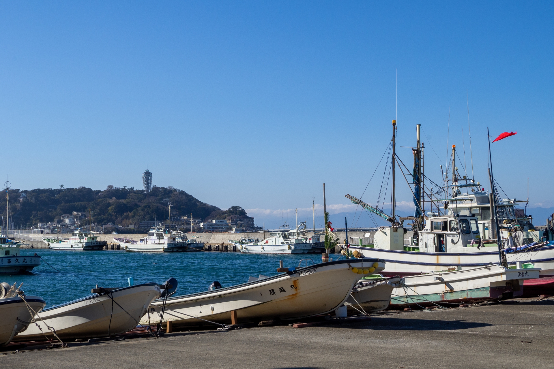 Koshigoe Fishing Port: Kamakura's Hidden Gem for Fresh Seafood & Authentic Local Vibes