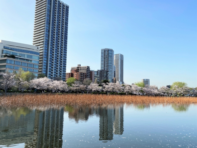 NOHGA HOTEL Ueno Tokyo: An Art-Inspired Sanctuary Near Tokyo's Cultural Heart